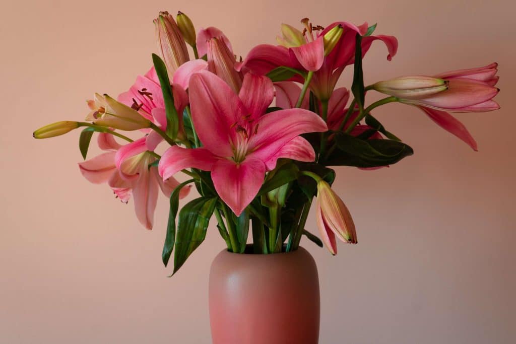 flowers: mother's day gift idea