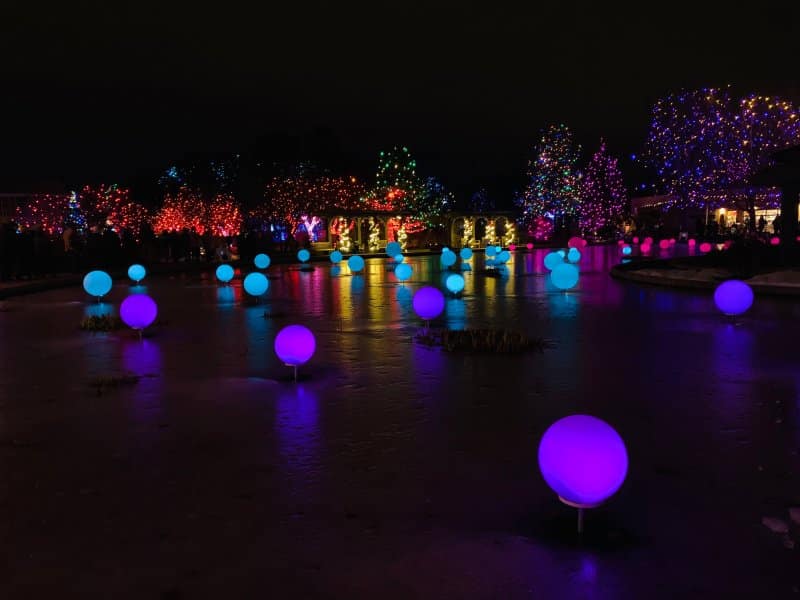 Blossoms of Light at the Denver Botanic Gardens in winter