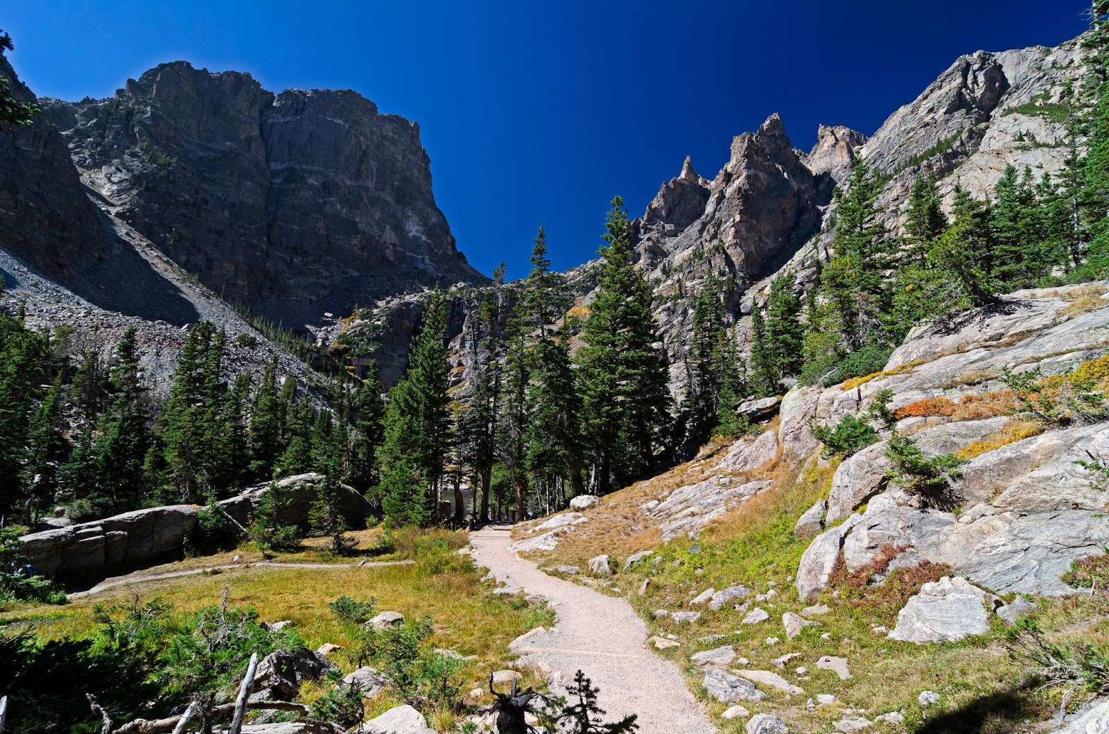 hiking trail at Rocky Mountain National Park