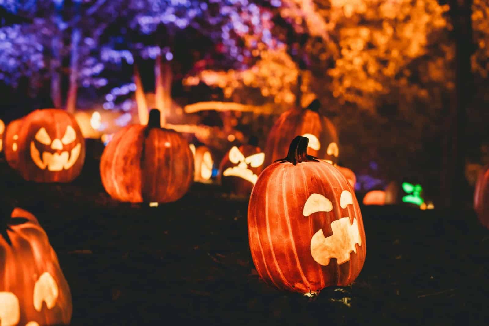 Lit up jack-o-lanterns