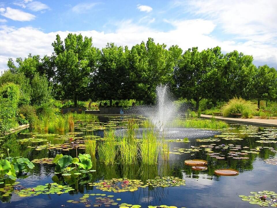 Pond at Denver Botanic Gardens