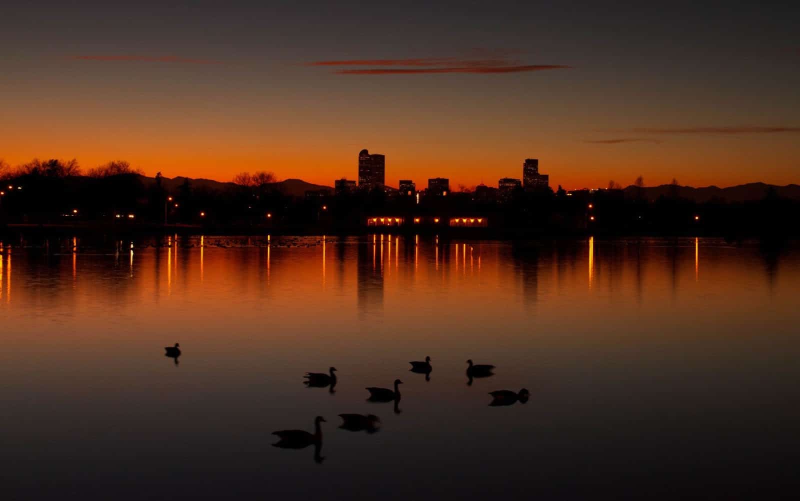 Sunset scenery with ducks in lake at City Park in Denver