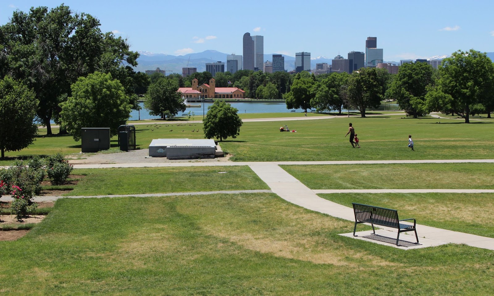 People, trees, building at City Park in Denver